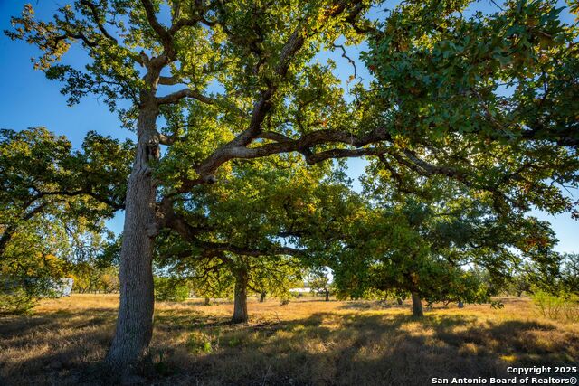 Listing photo id 24 for 740 Optimist Way