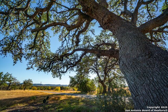 Listing photo id 27 for 740 Optimist Way