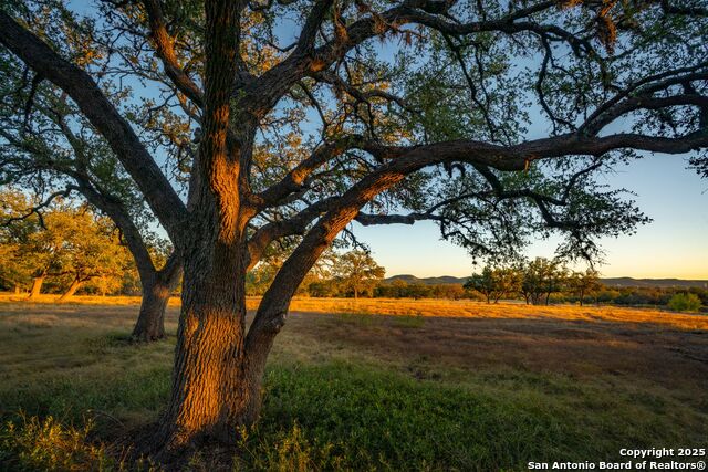 Listing photo id 1 for 740 Optimist Way