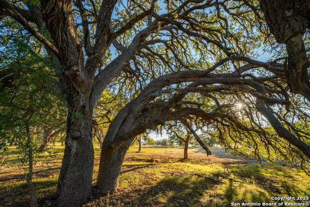 Listing photo id 29 for 740 Optimist Way