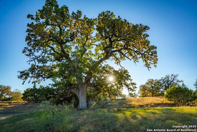 Listing photo id 30 for 740 Optimist Way