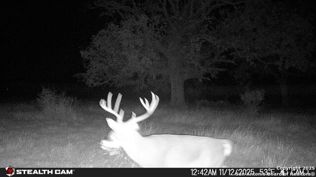 Listing photo id 33 for 740 Optimist Way