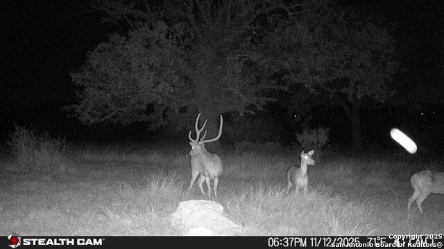 Listing photo id 34 for 740 Optimist Way