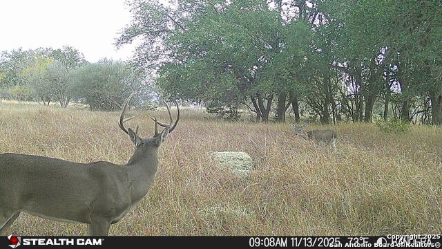 Listing photo id 35 for 740 Optimist Way