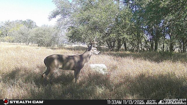 Listing photo id 36 for 740 Optimist Way