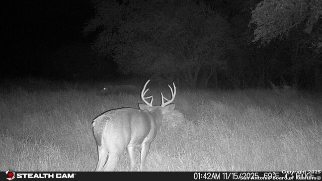 Listing photo id 37 for 740 Optimist Way