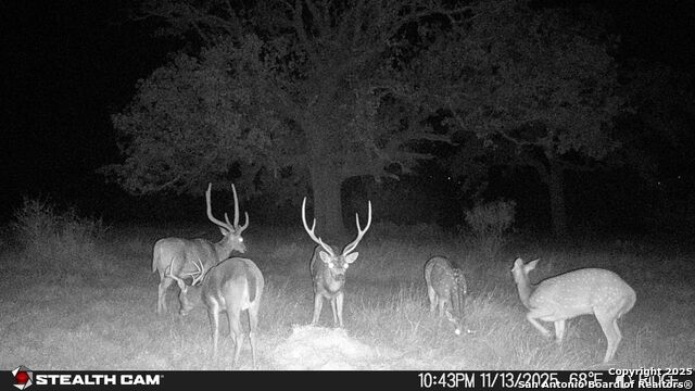 Listing photo id 2 for 740 Optimist Way