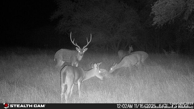 Listing photo id 38 for 740 Optimist Way