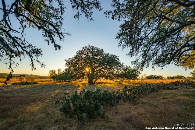 Listing photo id 3 for 740 Optimist Way