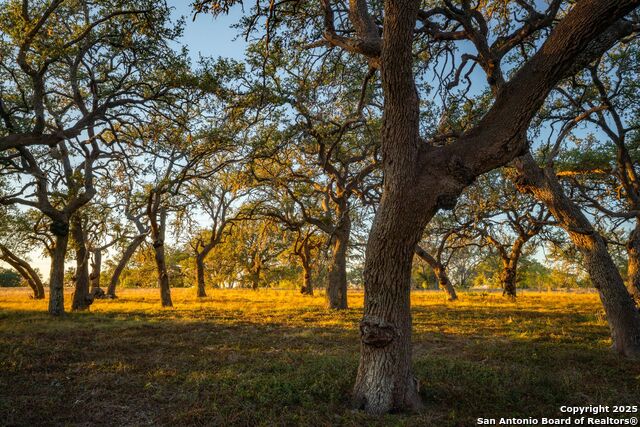 Listing photo id 4 for 740 Optimist Way