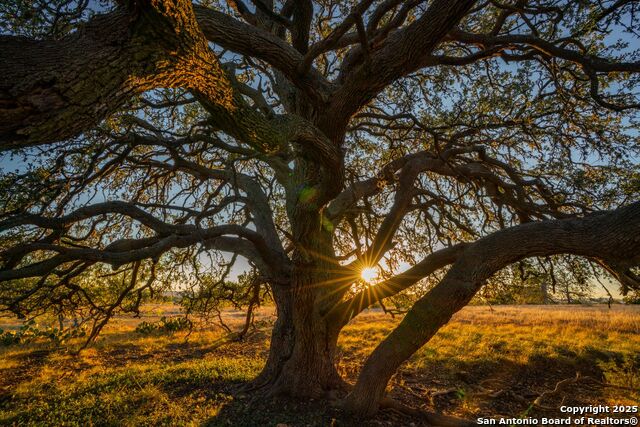 Listing photo id 5 for 740 Optimist Way