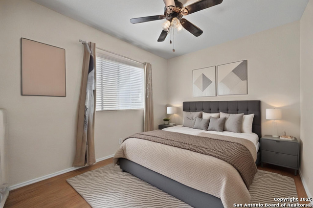 Image 10 of 25 For 12014 Dove