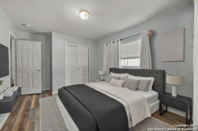 Image 14 of 25 For 12014 Dove