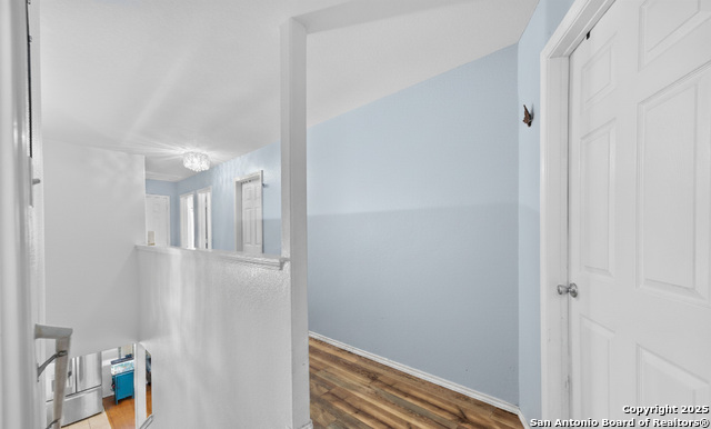 Image 16 of 25 For 12014 Dove