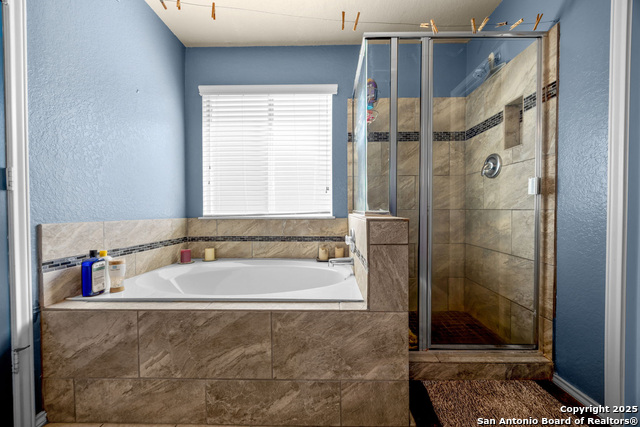 Image 18 of 25 For 12014 Dove