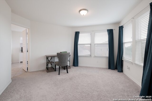 Image 11 of 19 For 5230 Wolf Bane