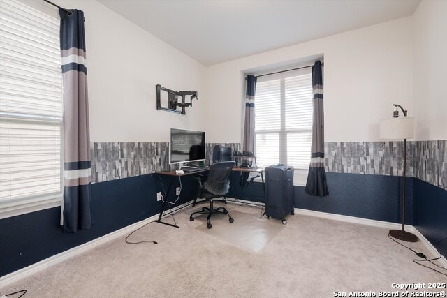 Image 17 of 19 For 5230 Wolf Bane