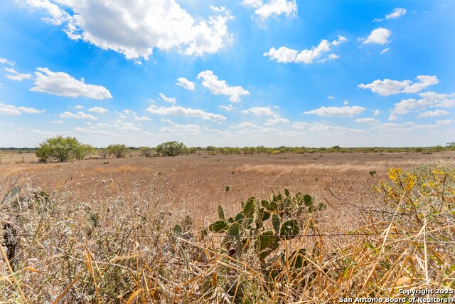 Image 2 of 8 For 2849 Fm 1333