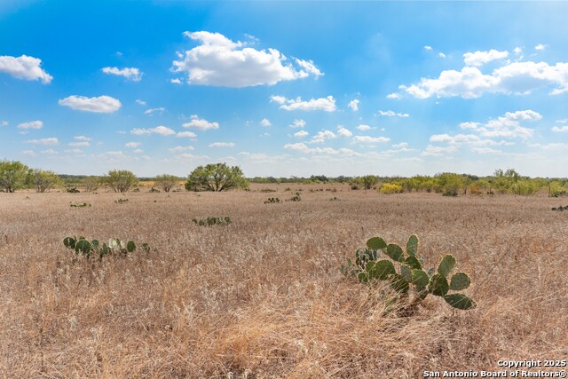 Image 4 of 8 For 2849 Fm 1333