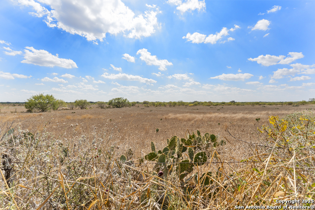 Image 6 of 8 For 2849 Fm 1333