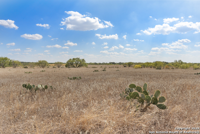 Image 8 of 8 For 2849 Fm 1333