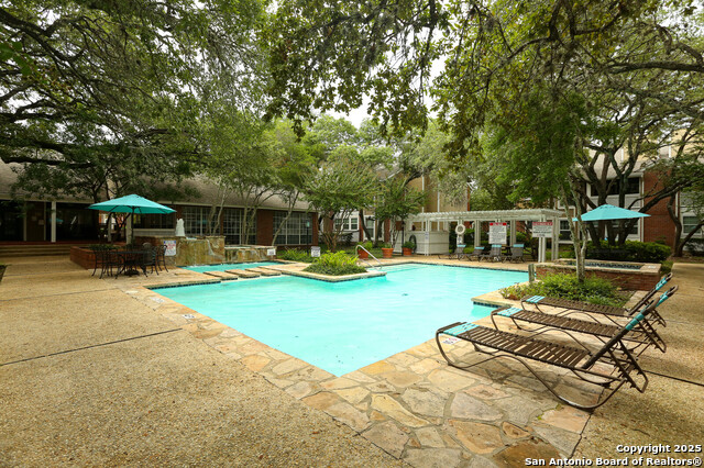 Image 15 of 25 For 13130 Blanco  301