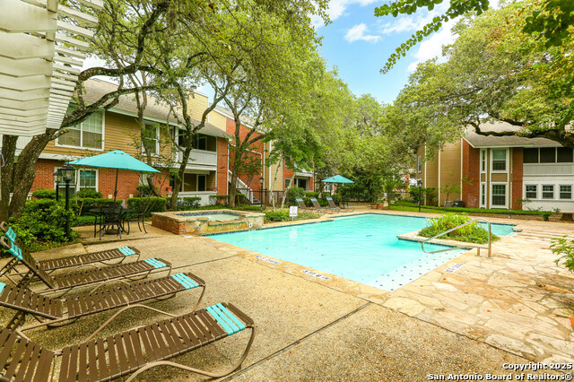 Image 16 of 25 For 13130 Blanco  301