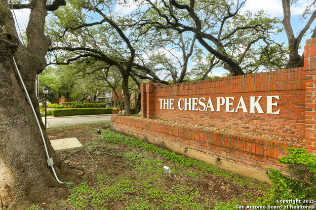 Image 19 of 25 For 13130 Blanco  301