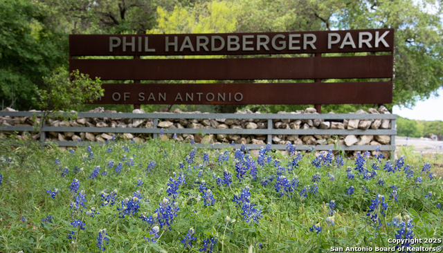 Image 20 of 25 For 13130 Blanco  301