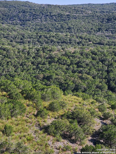 Image 10 of 16 For Tbd H55, C408