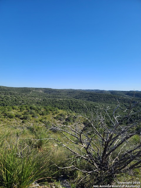 Image 2 of 16 For Tbd H55, C408