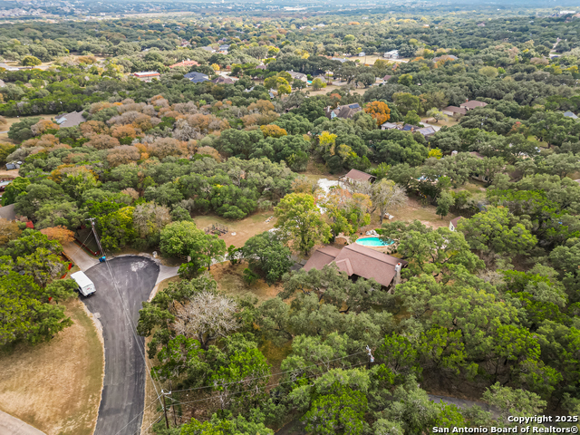 Image 5 of 5 For Lot 204 Fire Dance