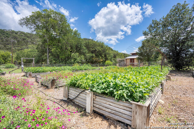 Listing photo id 45 for 801 Mickle Creek