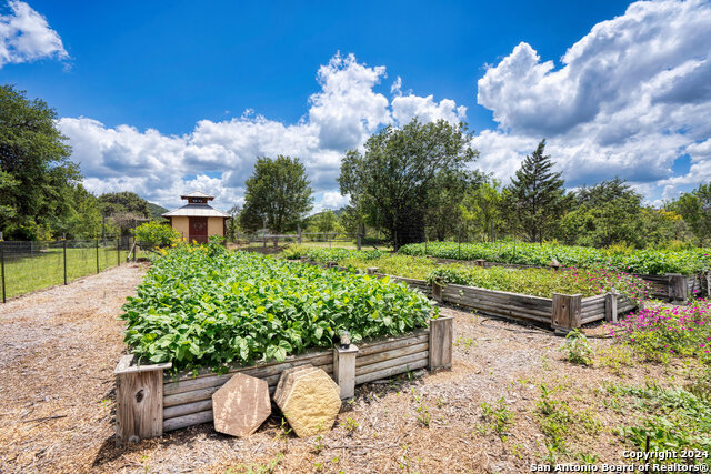 Listing photo id 46 for 801 Mickle Creek