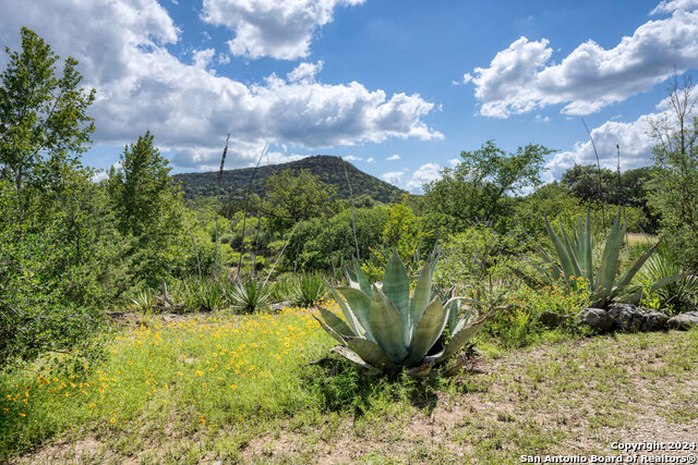 Listing photo id 50 for 801 Mickle Creek