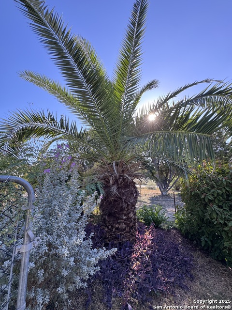 Image 29 of 36 For 745 Trail Crest