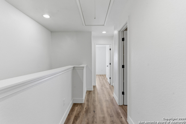 Image 21 of 29 For 6307 Melanzane 3