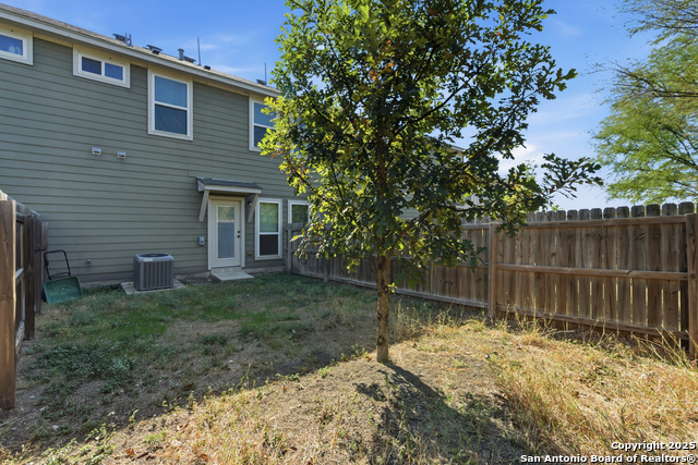 Image 29 of 29 For 6307 Melanzane 3