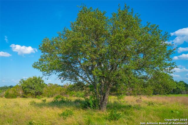 Image 11 of 12 For 0000 Long View Ranch