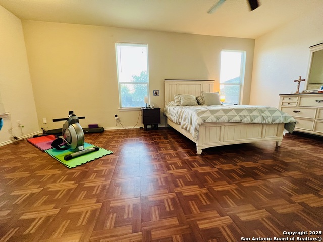 Image 8 of 17 For 9003 Canter Horse