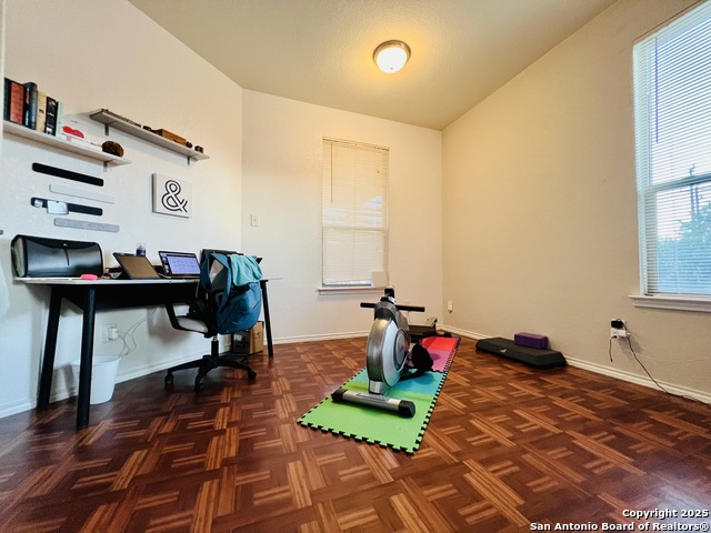 Image 9 of 17 For 9003 Canter Horse