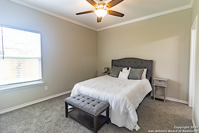 Image 8 of 11 For 803 Hall St  