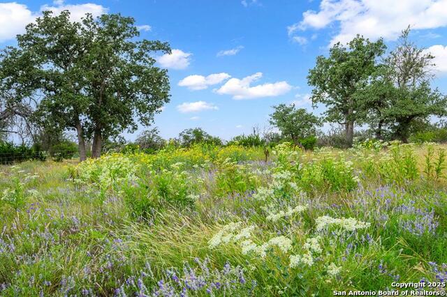 Listing photo id 45 for 2320 Fiedler Road