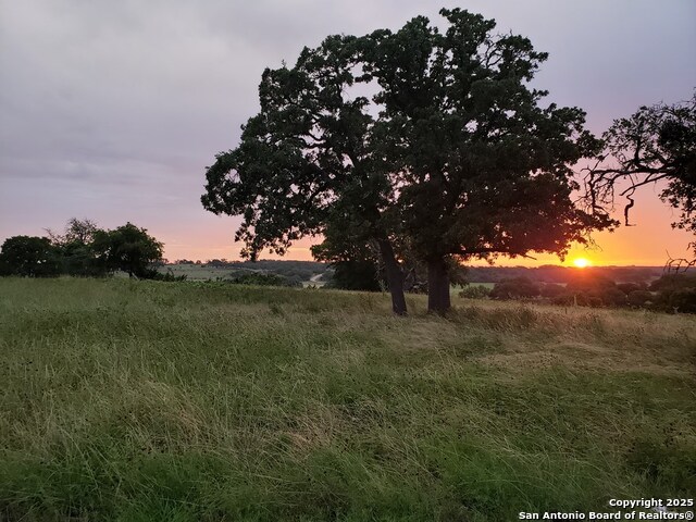 Listing photo id 51 for 2320 Fiedler Road