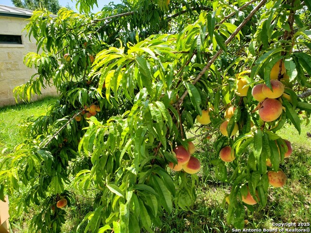 Listing photo id 52 for 2320 Fiedler Road