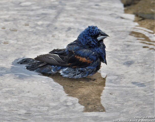 Listing photo id 53 for 2320 Fiedler Road