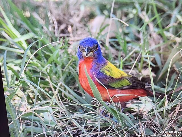 Listing photo id 54 for 2320 Fiedler Road