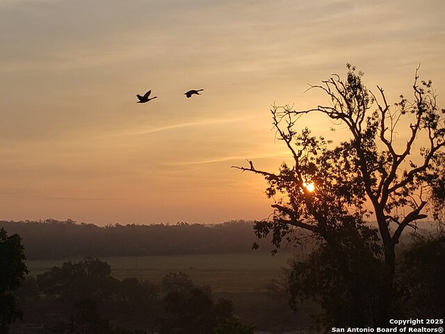 Listing photo id 61 for 2320 Fiedler Road