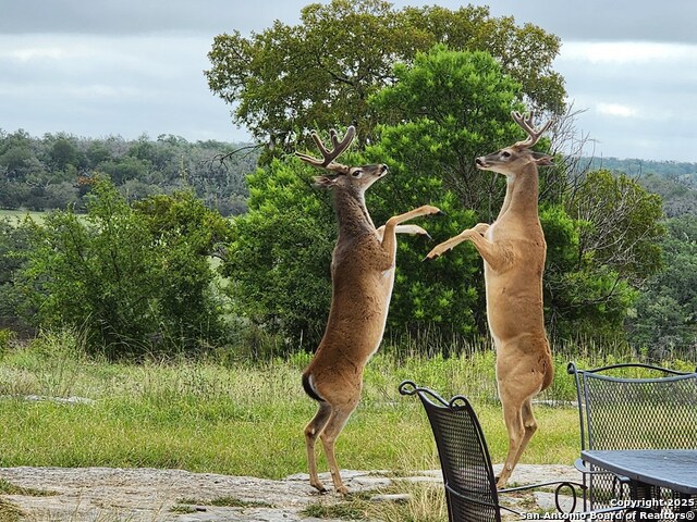 Listing photo id 62 for 2320 Fiedler Road