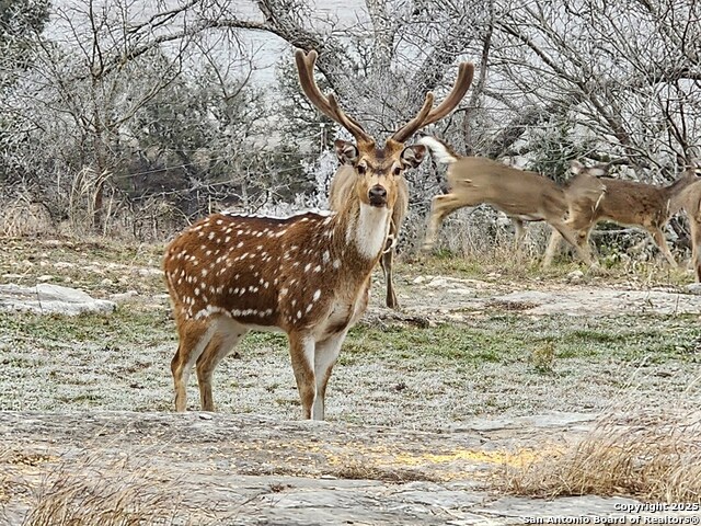 Listing photo id 63 for 2320 Fiedler Road